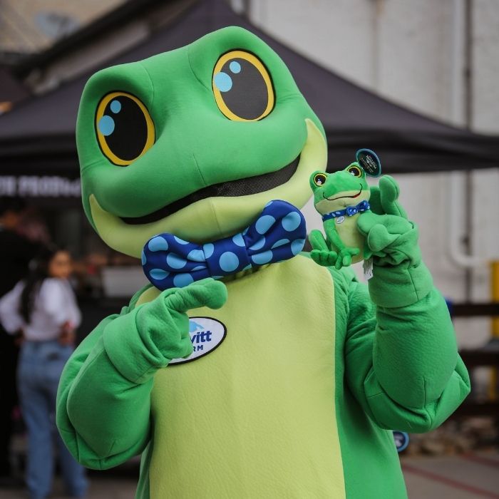 car show in Colorado Springs